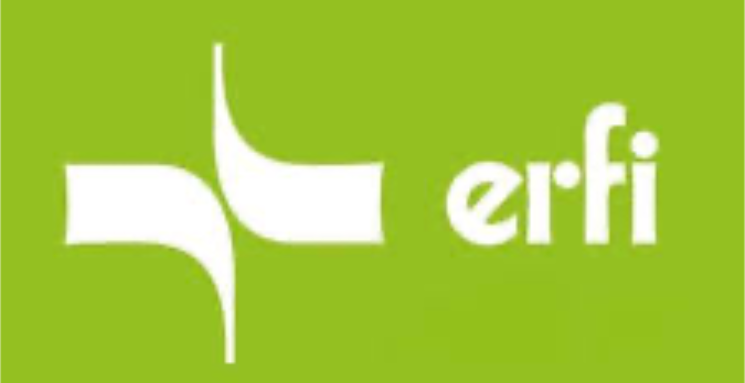 Erfi